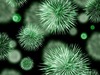 질병관리본부, 노로바이러스 감염증 증가… 적극적인 예방 당부